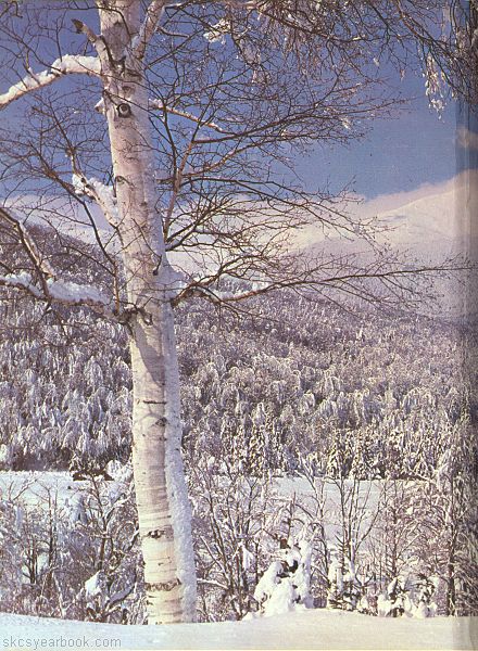 SKCS Yearbook 196366 South Kortright Central School Almedian