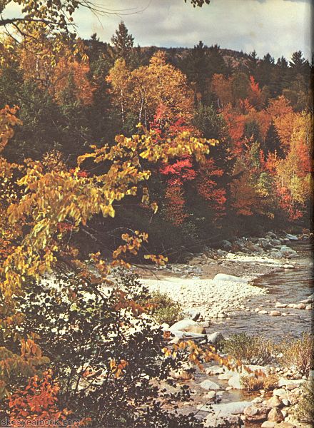 SKCS Yearbook 196464 South Kortright Central School Almedian