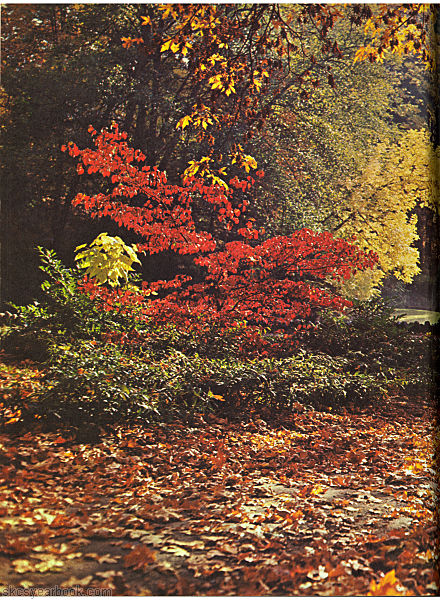 SKCS Yearbook 196882 South Kortright Central School Almedian
