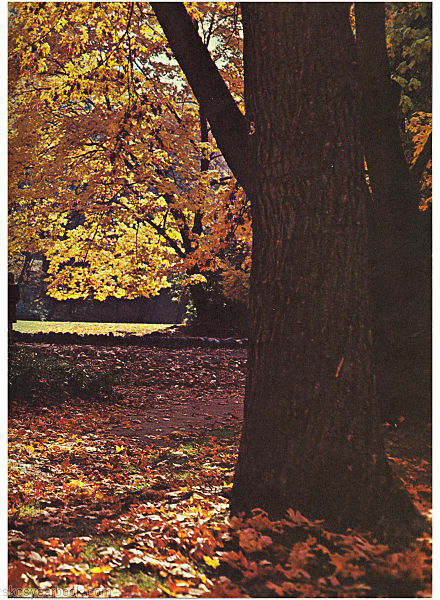 SKCS Yearbook 196882 South Kortright Central School Almedian