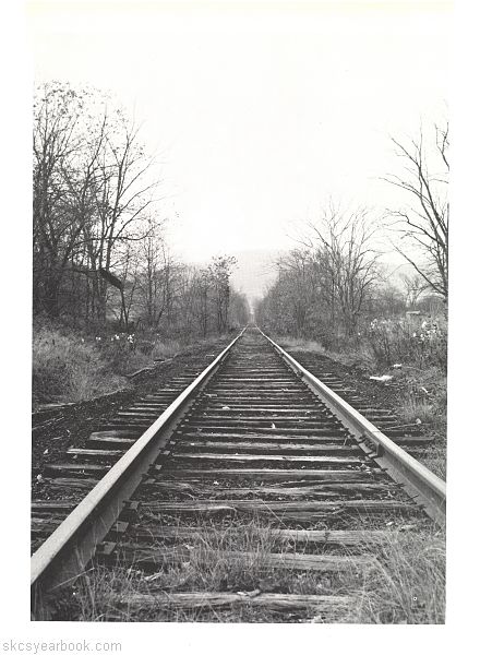 SKCS Yearbook 197168 South Kortright Central School Almedian