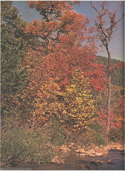 SKCS Yearbook 197388 South Kortright Central School Almedian