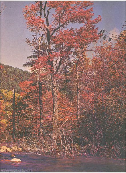 SKCS Yearbook 197388 South Kortright Central School Almedian