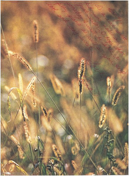 SKCS Yearbook 1975122 South Kortright Central School Almedian