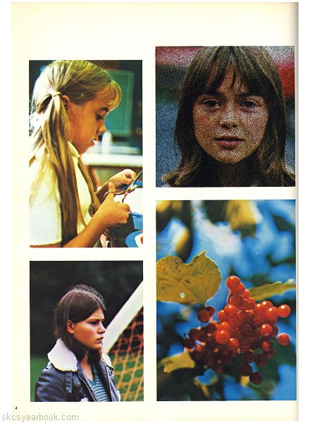 SKCS Yearbook 19764 South Kortright Central School Almedian