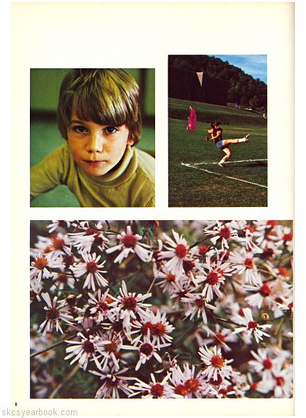 SKCS Yearbook 19768 South Kortright Central School Almedian