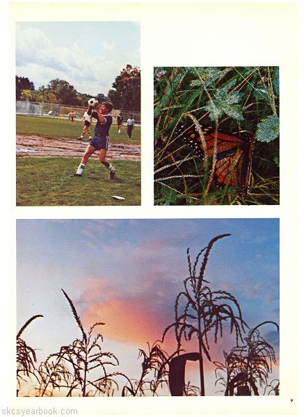SKCS Yearbook 19768 South Kortright Central School Almedian