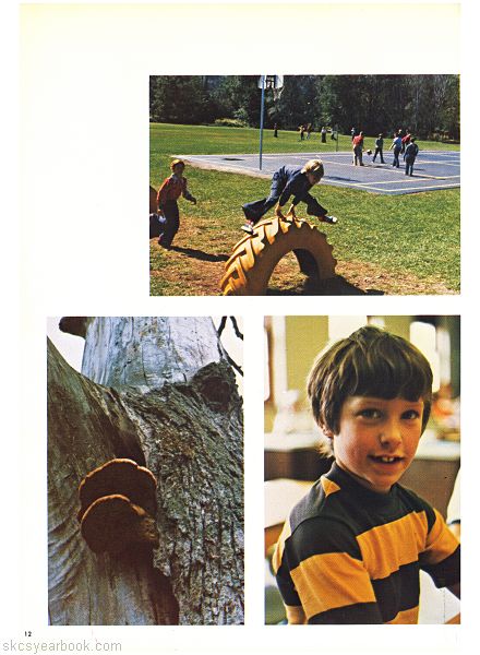 SKCS Yearbook 197612 South Kortright Central School Almedian