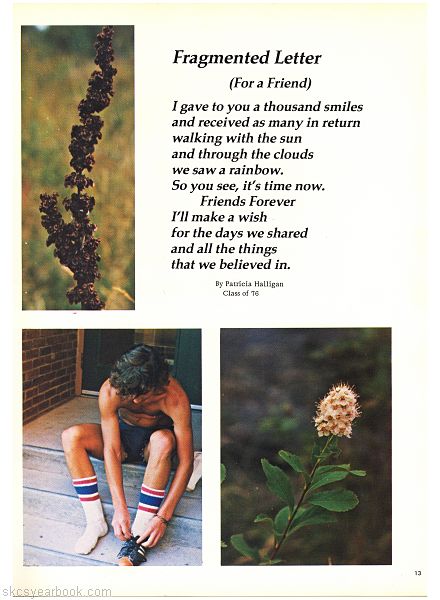 SKCS Yearbook 197612 South Kortright Central School Almedian