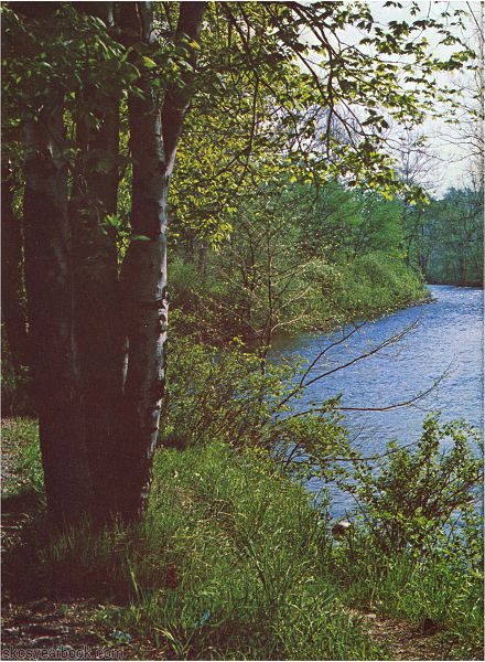 SKCS Yearbook 1978122 South Kortright Central School Almedian