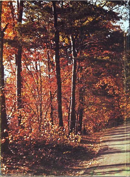 SKCS Yearbook 1978124 South Kortright Central School Almedian