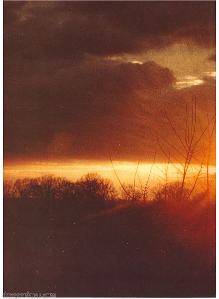 SKCS Yearbook 1979122 South Kortright Central School Almedian