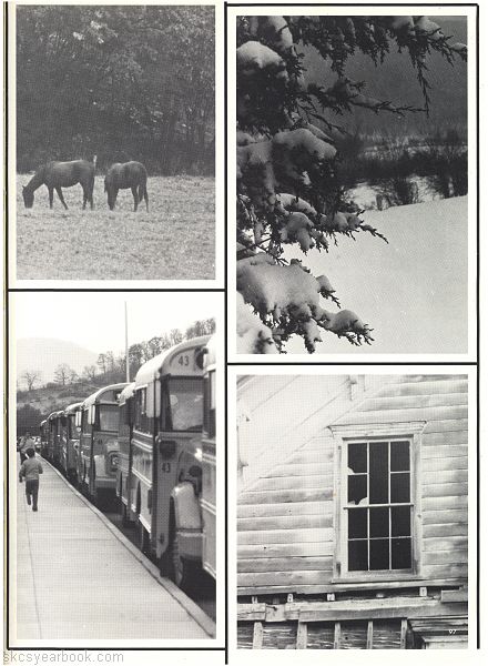SKCS Yearbook 198096 South Kortright Central School Almedian