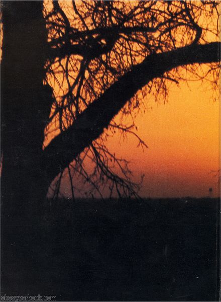 SKCS Yearbook 1980122 South Kortright Central School Almedian