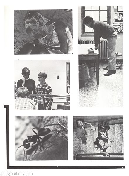 SKCS Yearbook 19816 South Kortright Central School Almedian