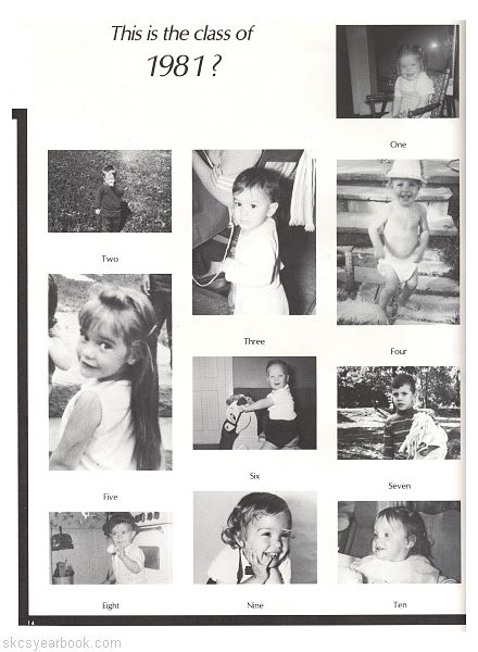 SKCS Yearbook 198114 South Kortright Central School Almedian