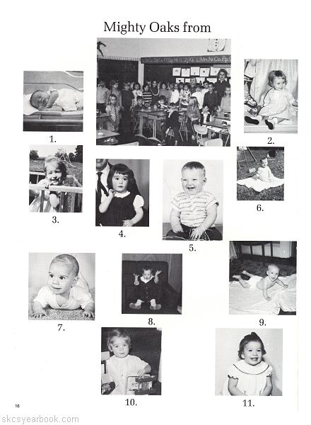 SKCS Yearbook 198216 South Kortright Central School Almedian