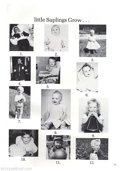 SKCS Yearbook 198216 South Kortright Central School Almedian
