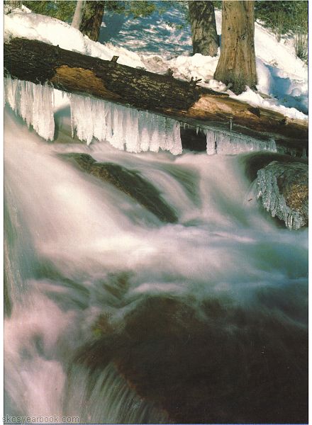 SKCS Yearbook 1983114 South Kortright Central School Almedian